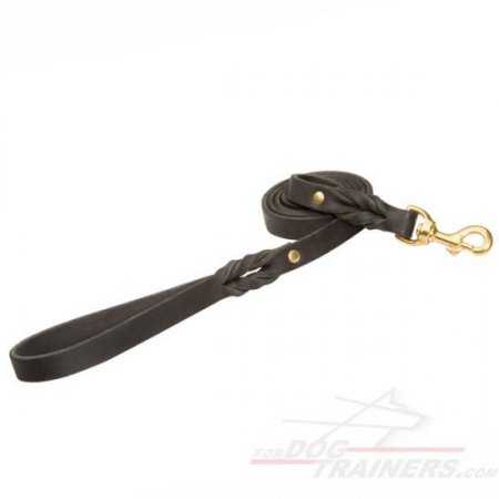 Handcrafted Leather Dog Leash with Elegant Braids