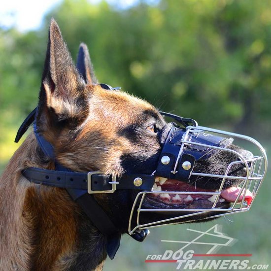 Wire Cage Belgian Malinois Muzzle for Different Activities