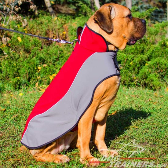 Winter Warming Nylon Cane Corso Coat for Walking