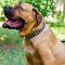 Wide 3 Rows Nickel Pyramids Leather Cane Corso Collar