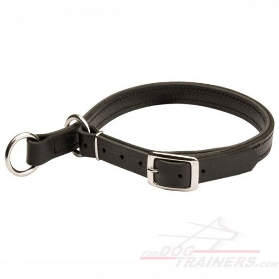 Effective Leather Choke Dog Collar for Obedience Training