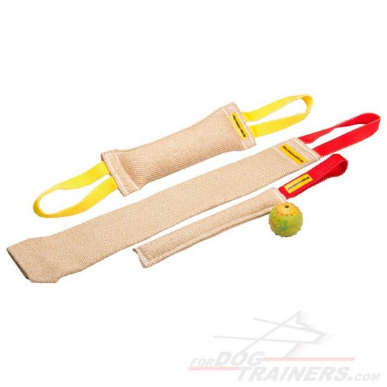 Buy Now Puppy Training Set and Get Great Training Toy ( value $5.9)