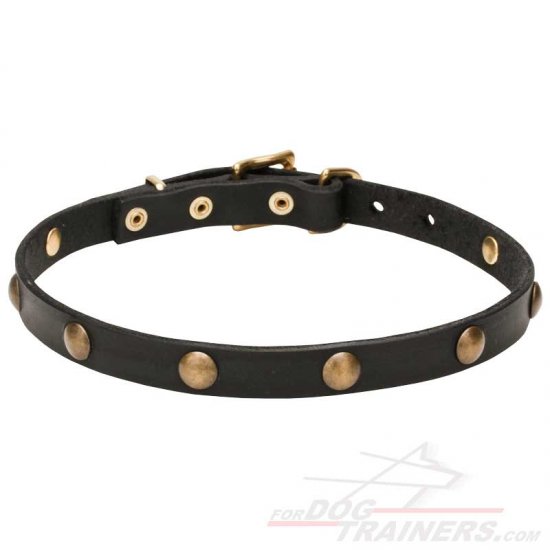 'Elegant Beauty' Fashion Leather Dog Collar with Brass Hardware 4/5 inch (20 mm) Wide