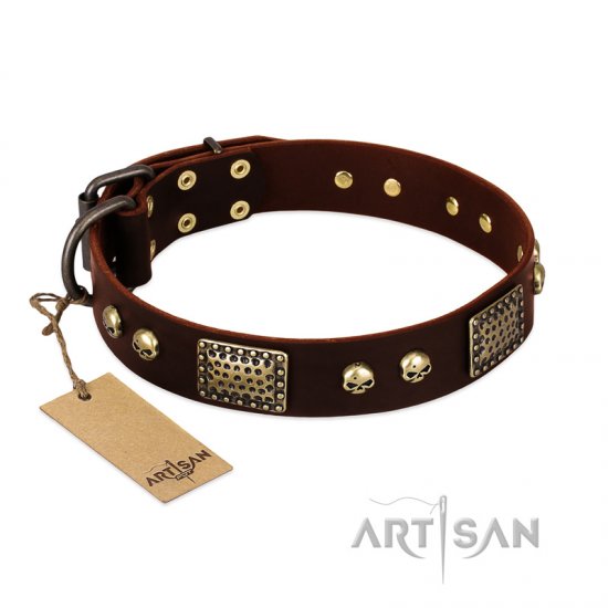 ‘Magic Amulet’ Brown Leather Dog Collar with Skulls and Plates