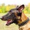 Leather Spiked Belgian Malinois Collar