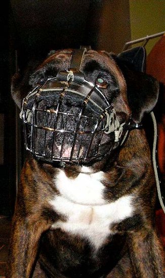 Wire Basket Dog Muzzles Size Chart - M4light_2