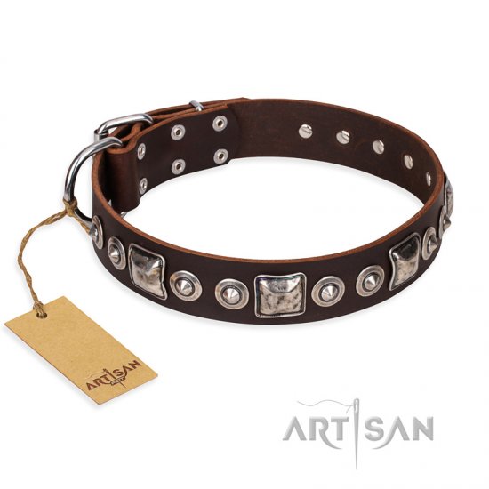 'Pierian spring' FDT Artisan Brown Leather Dog Collar with Silvery Decorations - 1 1/2 inch (40 mm) wide