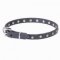 "Stellar" 20 mm Leather Dog Collar with Nickel Plated Stars