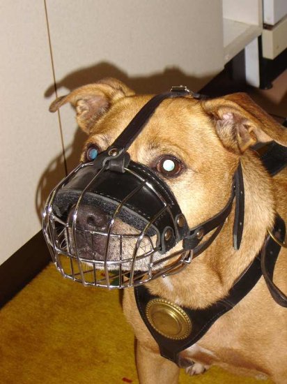 Lightweight Wire Basket Dog Muzzle for Pitbull Comfortable Training