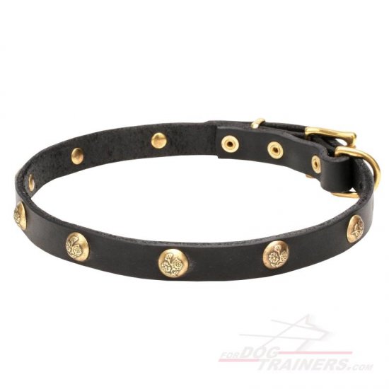 'Stamped Studs' Leather Dog Collar with Brass Hardware