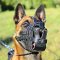 Leather Basket Belgian Malinois Muzzle for Everyday Use