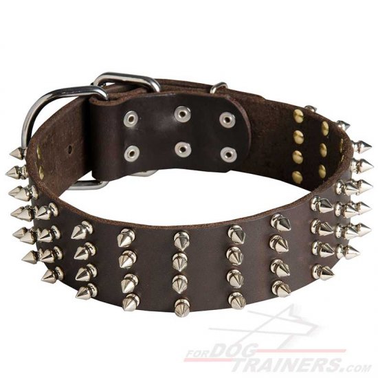 Extra Wide Leather Spiked Dog Collar for Walking