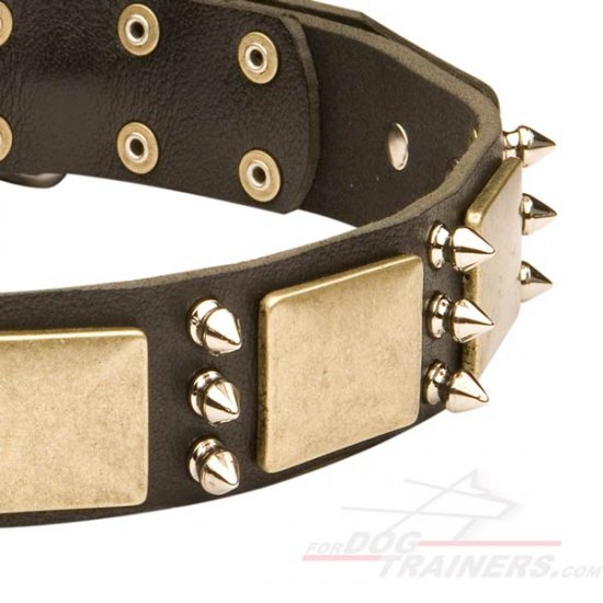 Premium Leather Dog Collar with Antique Decor