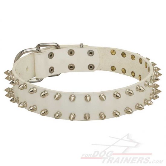 "White Rose" Leather Dog Collar with Nickel Plated Spikes for Walking
