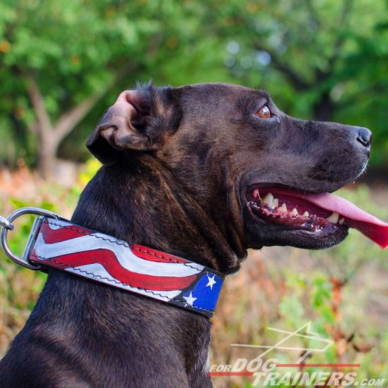 Pitbull Handpainted Leather Collar - American Pride Style