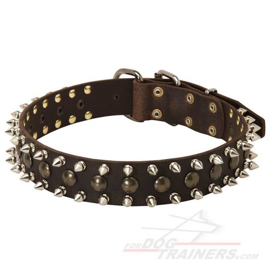 Fabulous Leather Dog Collar Spiked and Studded for Everyday Walking