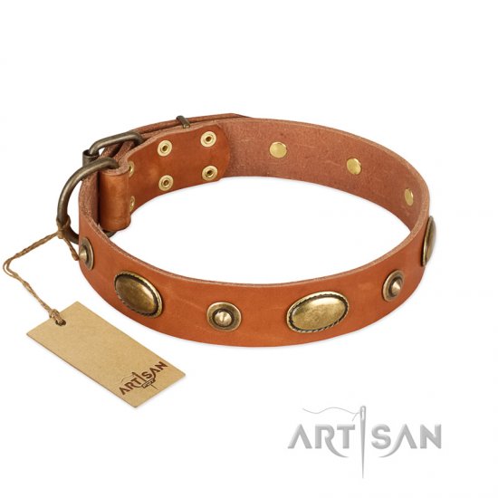 “Visual Magic” FDT Artisan Tan Leather Dog Collar for Daily Activities- 1 1/2 inch (40 mm) wide
