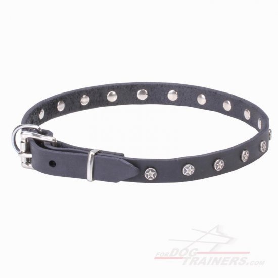 "Stellar" 20 mm Leather Dog Collar with Nickel Plated Stars