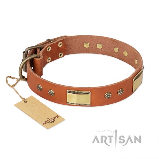 'Enchanting Spectacle' FDT Artisan Tan Leather Dog Collar with Old Bronze Look Plates and Round Studs - 1 1/2 inch (40 mm) wide