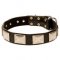 War Style Leather Dog Collar Decorated with Rustless Plates