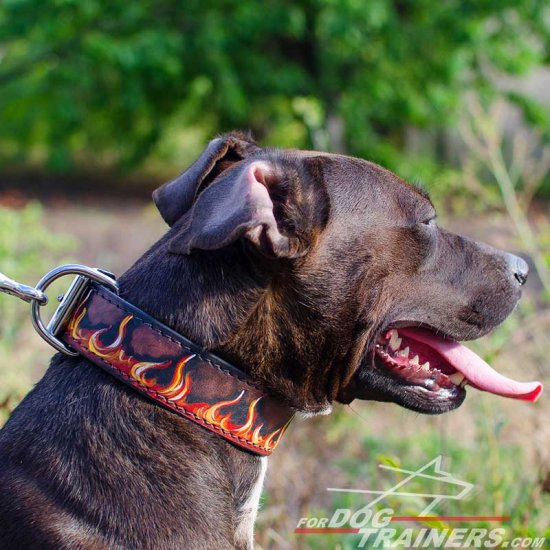 Handpainted Leather Pitbull Collar with Red Fire Flames