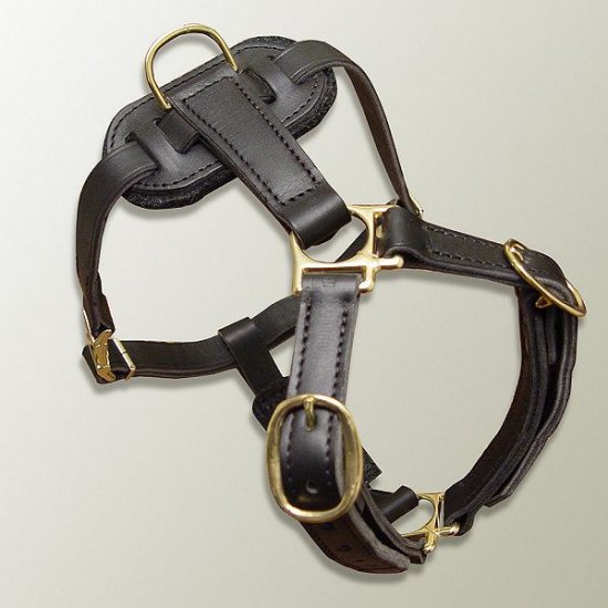 Leather Canine Harness for Tracking, Training and Walking