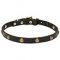 'Elegant Beauty' Fashion Leather Dog Collar with Brass Hardware 4/5 inch (20 mm) Wide