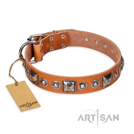 'Era of Future' FDT Artisan Handcrafted Tan Leather Dog Collar with Decorations