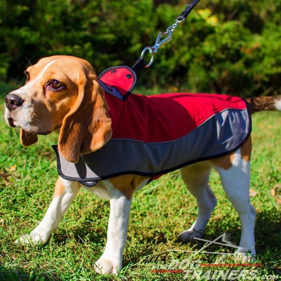 Warm Nylon Winter Beagle Coat for Walking