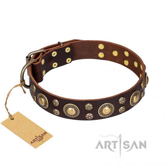 ‘Flower Melody’ FDT Artisan Brown Leather Dog Collar with Mixed Studs