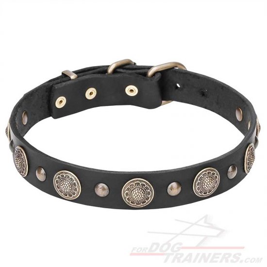 "Magic Necklace" Stylish Leather Dog Collar with Plates and Small Studs Made of Brass
