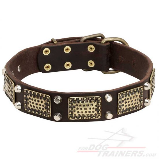 Stylish Leather Dog Collar with Massive Plates and Pyramids for Training/Walking