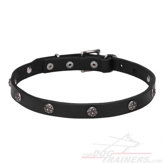 "Sparkling Beauty" Leather Dog Collar with Engraved Studs - 3/4 Inch (20 mm) wide