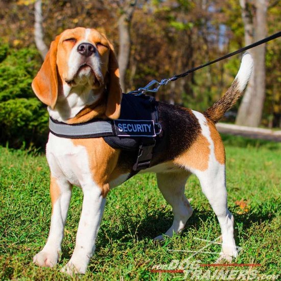 Nylon Beagle Harness with Reflective Strap for Training, Walking, Police Service, SAR and More