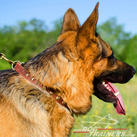 German Shepherd Studded Dog Collar Necklace - Click Image to Close