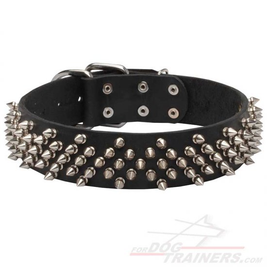 Rhomby Spiked Dog Collar for Stylish Walking