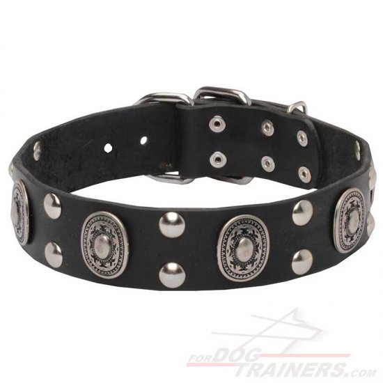 'Gothic Style' Leather Dog Collar with Oval Plates and Half Ball Studs