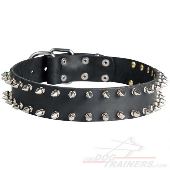 Designer Leather Dog Collar with Smooth Shiny Spikes