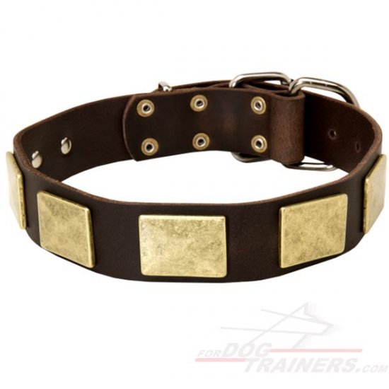 War Style Leather Dog Collar Decorated with Rustless Plates