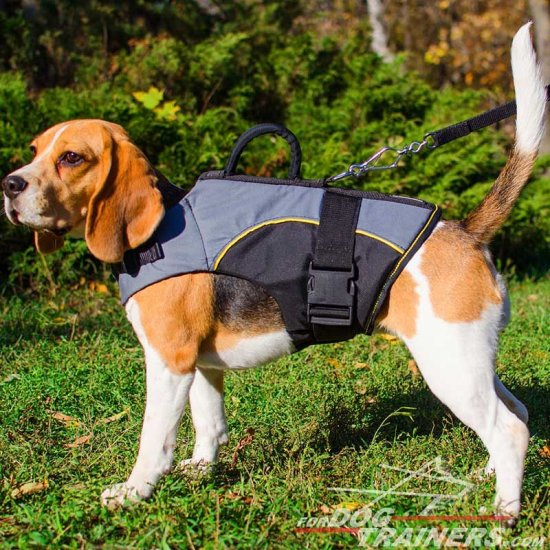 Adjustable Nylon Beagle Harness for Rehabilitation and Winter Warming - Click Image to Close