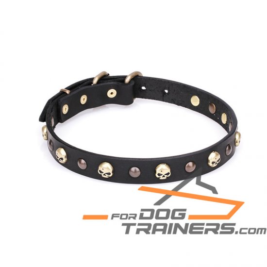 "Flibustier Charm" 1 1/5 Inch (25 mm) Leather Dog Collar with Old Bronze Brass Plated Half-Ball Studs and Skulls