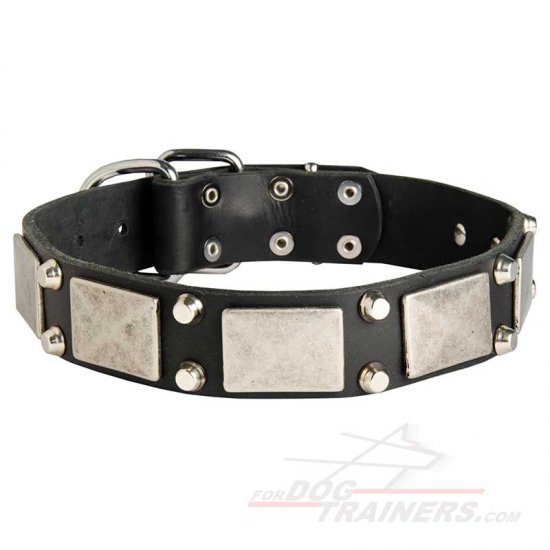 Hot Decorated Leather Dog Collar with Plates and Studs