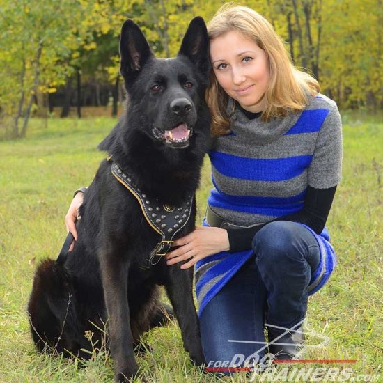 German Shepherd Designer Studded Leather Dog Harness