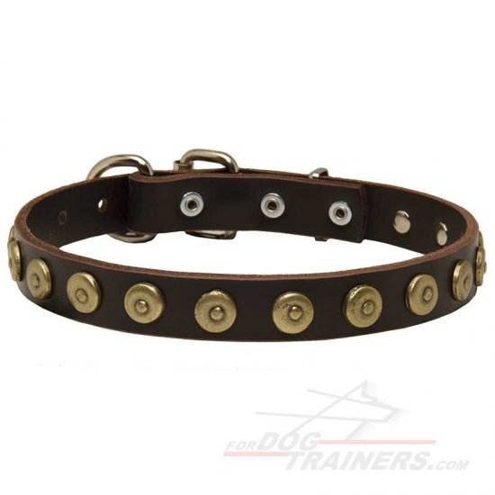 Gorgeous Leather Dog Collar Decorated with Line of Dotted Studs