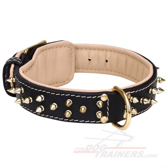 Gorgeous Leather Collar with Two Rows of Awesome Brass Spikes - Click Image to Close