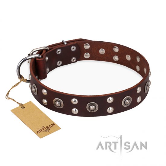 ‘Pirate Treasure’ FDT Artisan Exciting Brown Leather Dog Collar with Studs