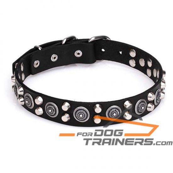 ‘Silver sun’ Leather Canine Collar with Cones and Large Round Studs