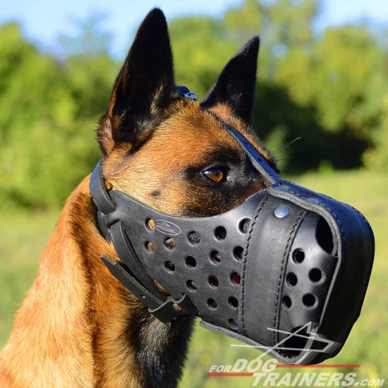 Leather dog muzzle "Dondi" PLUS style For Malinois - M55MAL