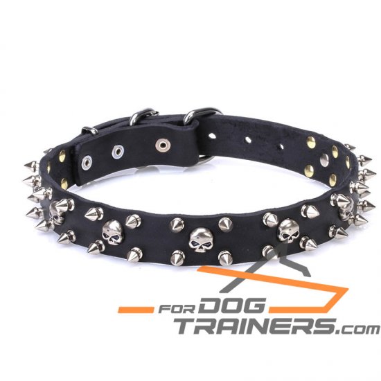 1 inch (25 mm) 'Buccaneer Legacy' Leather Dog Collar with Chrome Plated Spikes and Small Skulls