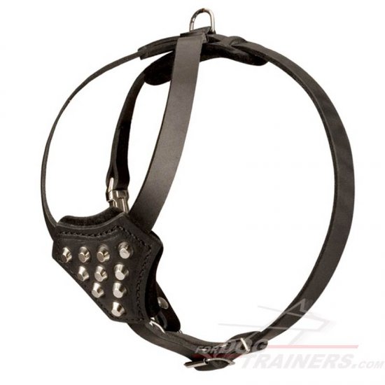 Stylish Studded Dog Harness for Active Puppies